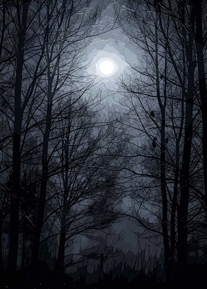 Moonlit Forest Silhouette