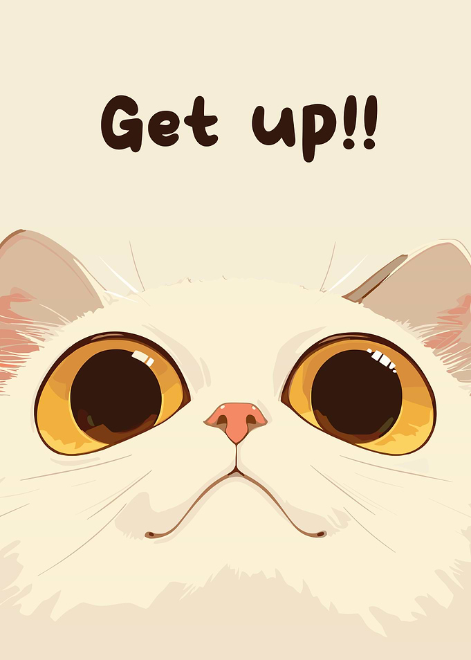 Get up Cat