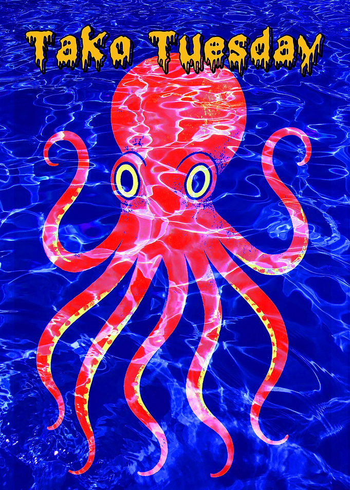 Tako Tuesday Octopus in Water