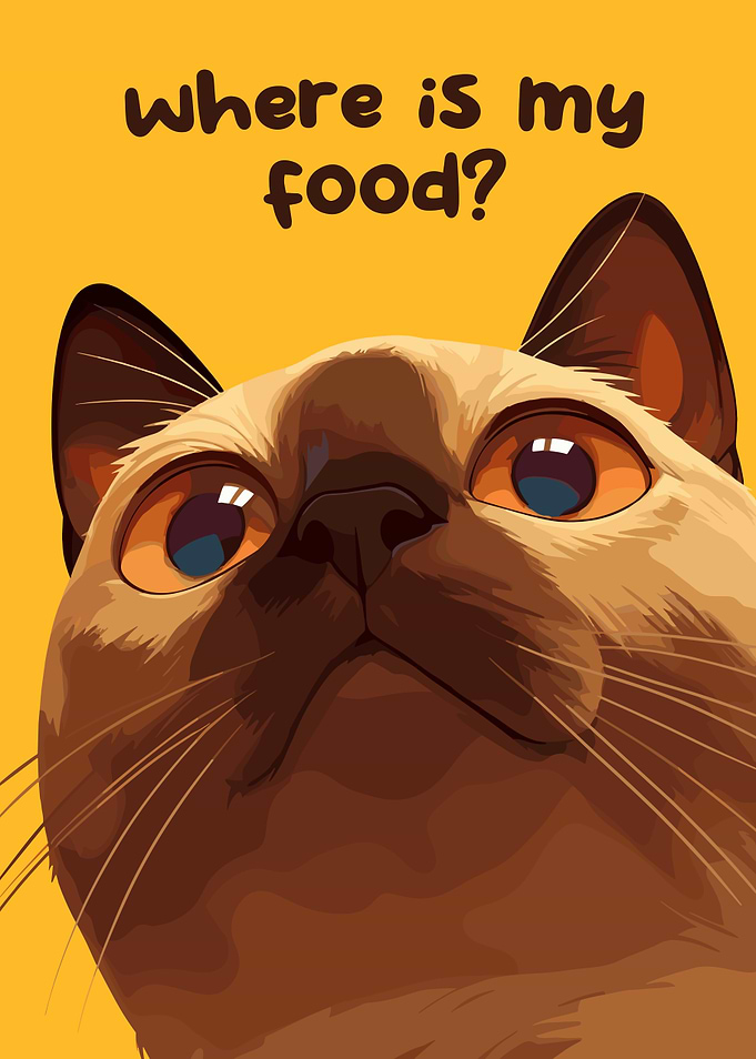 Where is my food?