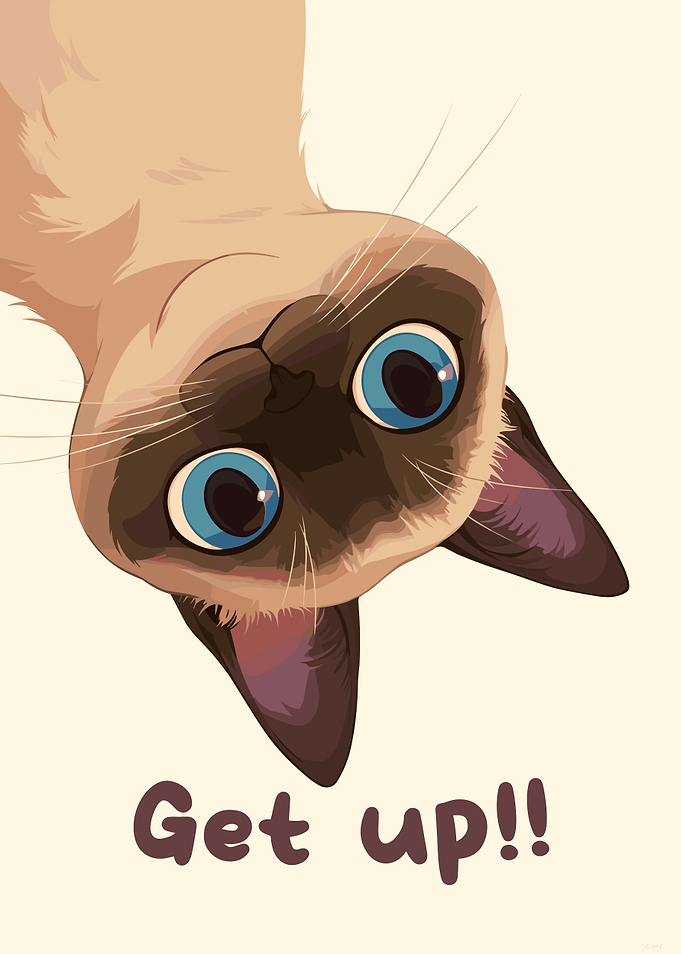 Upside-Down Siamese Cat - Get Up!