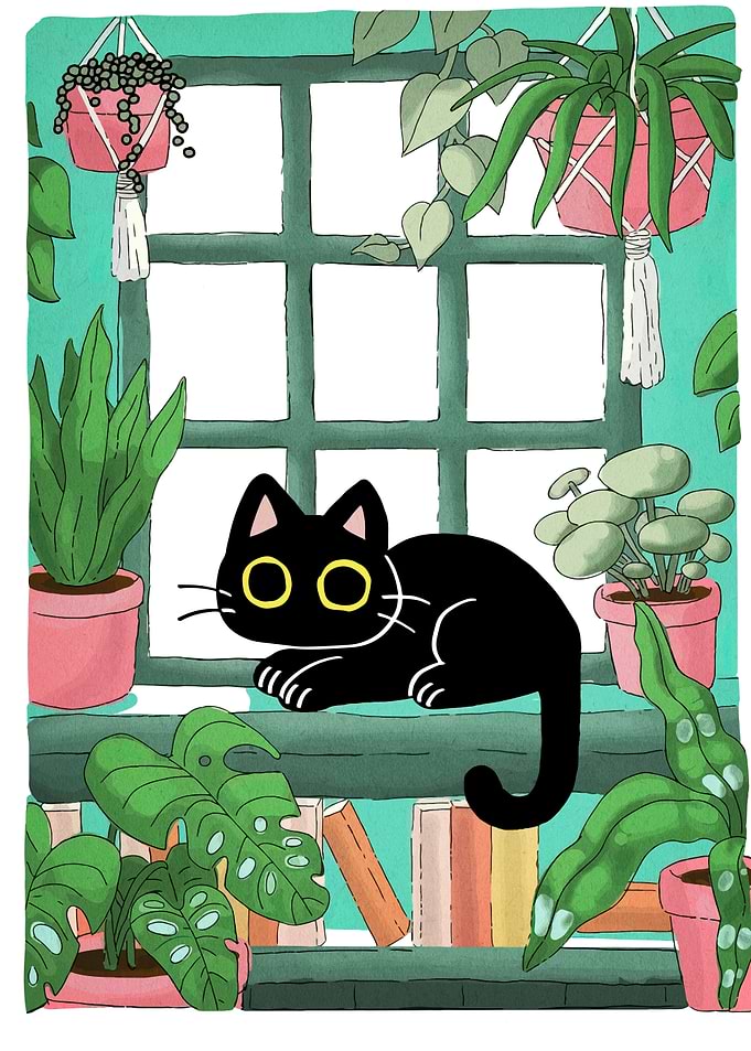 Black cat with plants by window