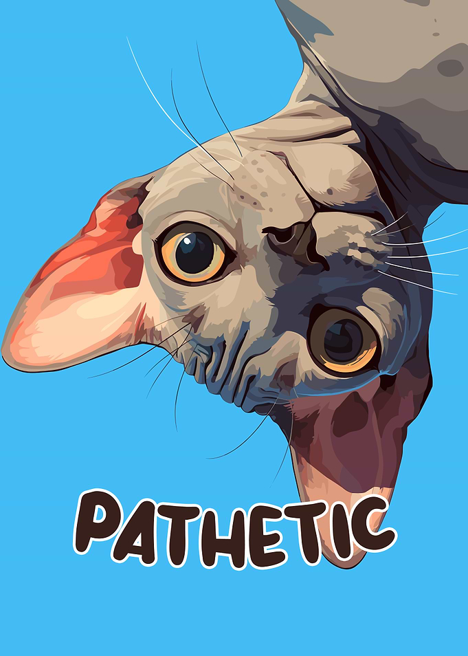Pathetic Sphynx Cat Portrait