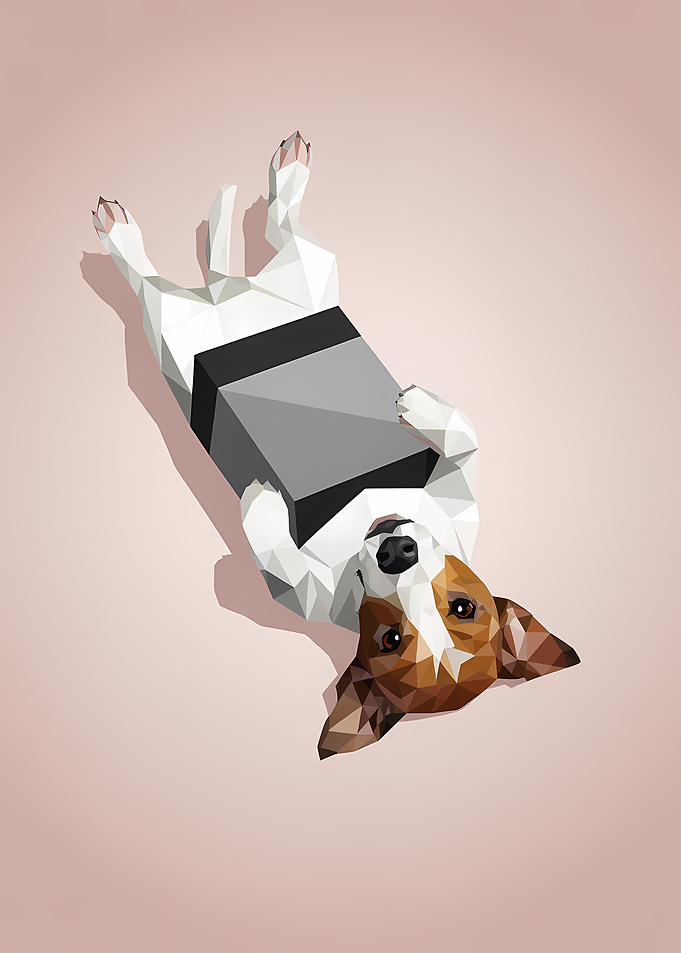 Geometric Dog Illustration on Pink Background