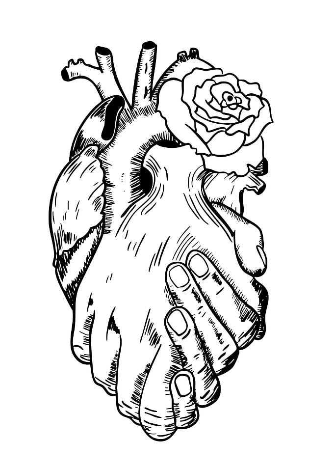 Anatomical Heart with Rose and Hands