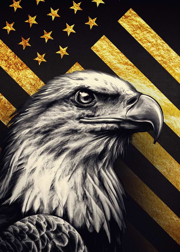 Eagle and American Flag Art