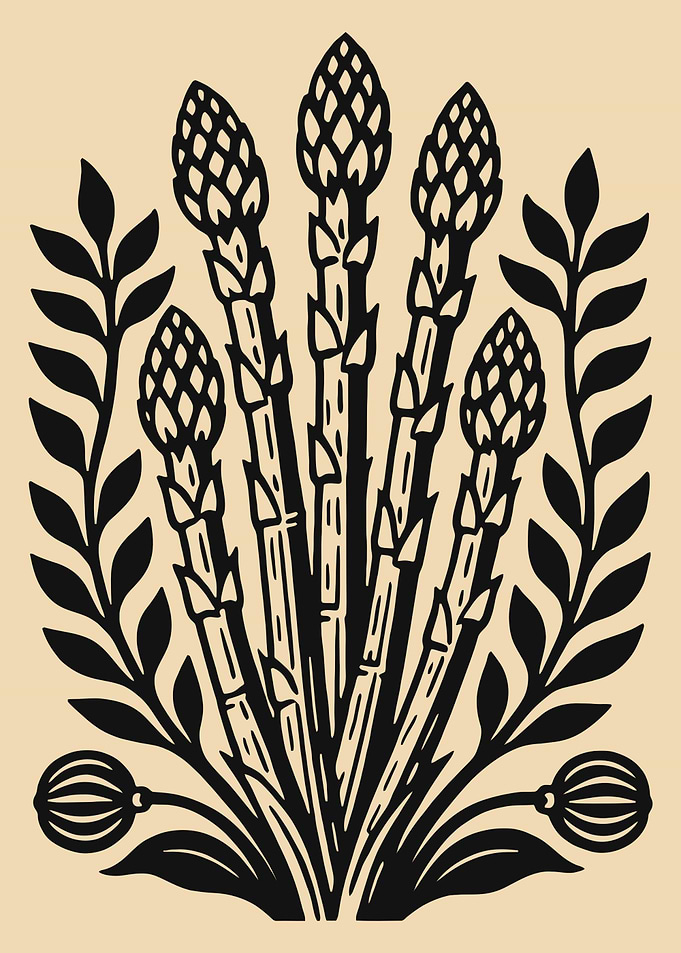 Asparagus and Floral Illustration