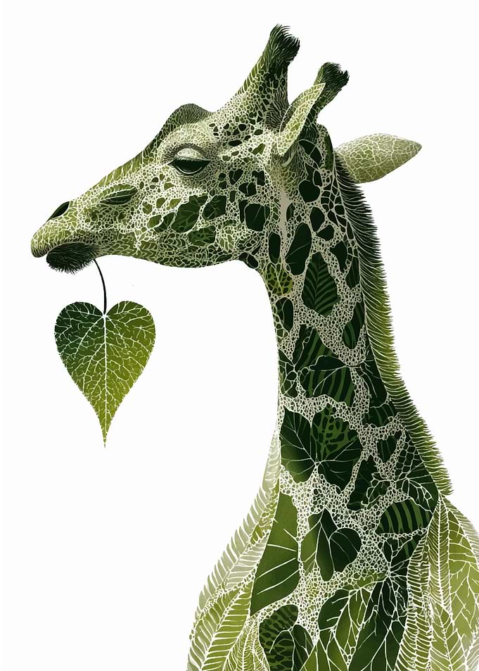Botanical Giraffe