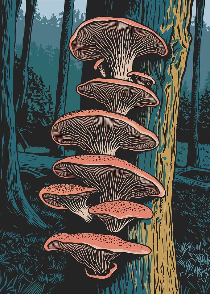 Mushroom Cluster on Tree Trunk in Woodland