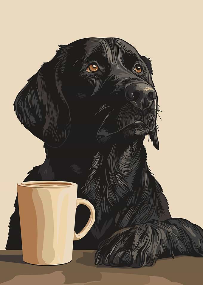 Black Labrador drinking coffee