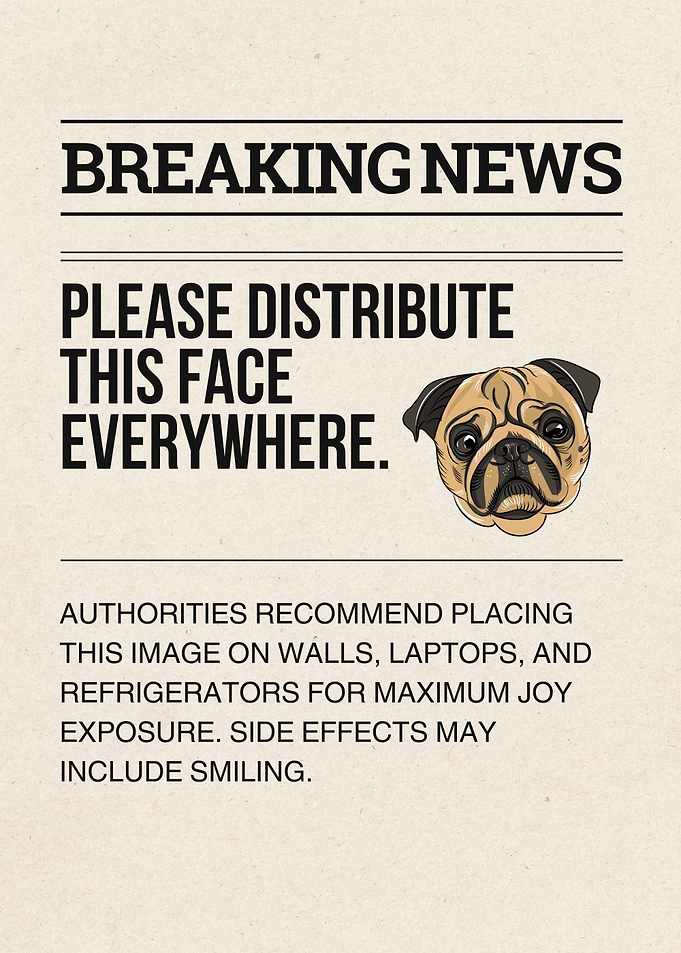 Breaking News: Distribute This Pug Face