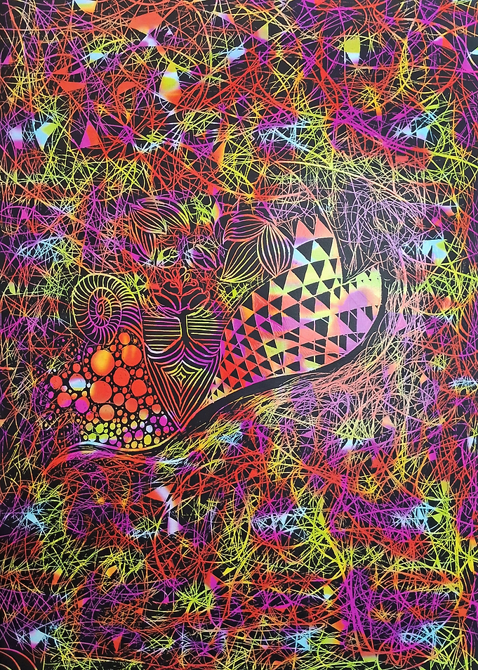 Colorful Abstract Geometric Pattern on Black