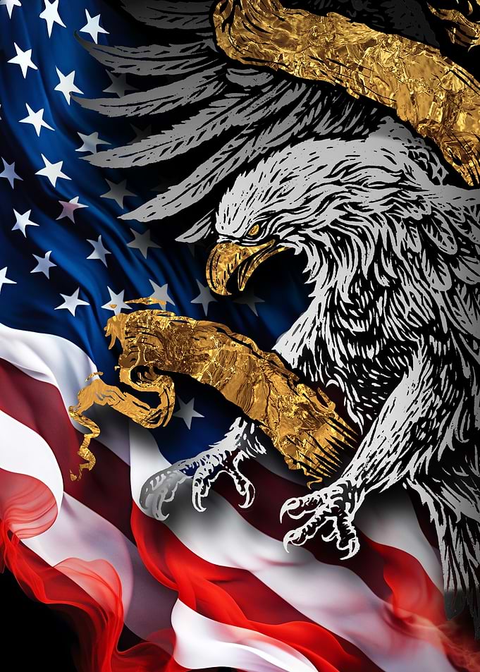 American Flag and Eagle Illustration