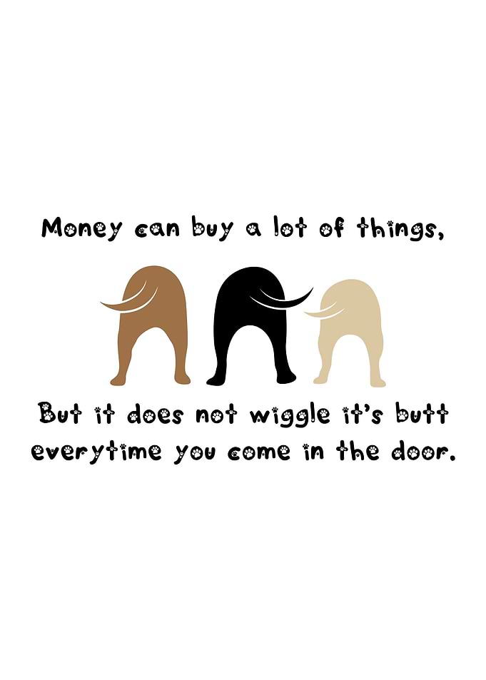 Dogs Funny Inspirational Quote