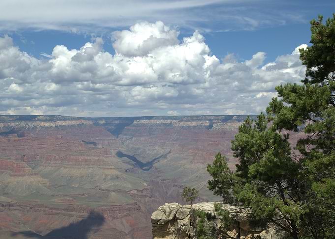 Grand Canyon Landscape with Trees