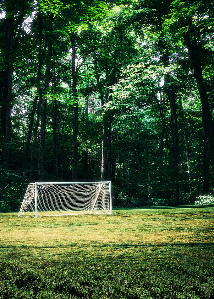 Soccer Goal in Forest Clearing