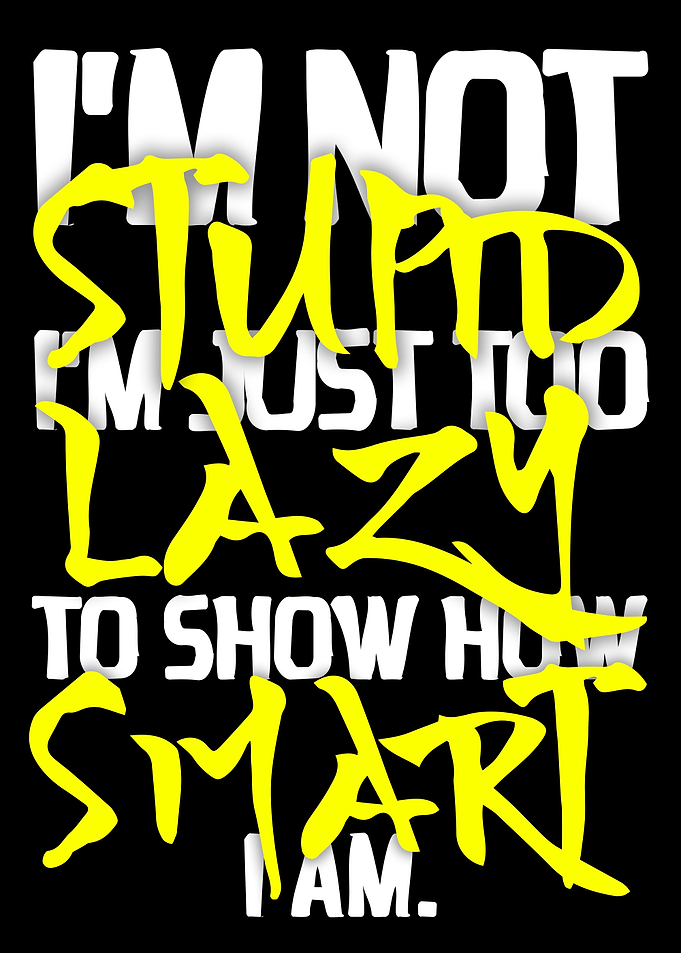 Funny Stupid Lazy Smart Quote Poster – Witty & Relatable Wall Art