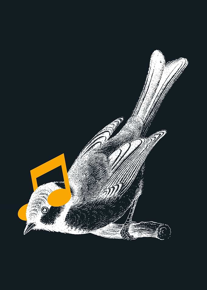 Listening to Your Heart