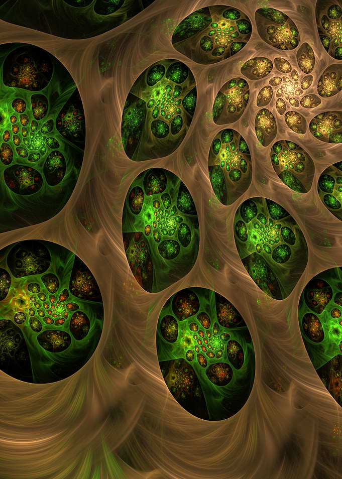 Nature Emerges