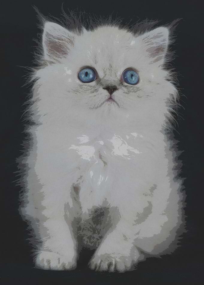 Cute White Kitten with Blue Eyes
