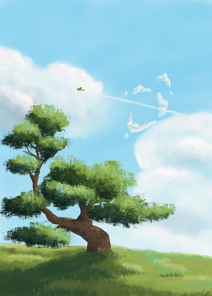 The Dreamer’s Sky
