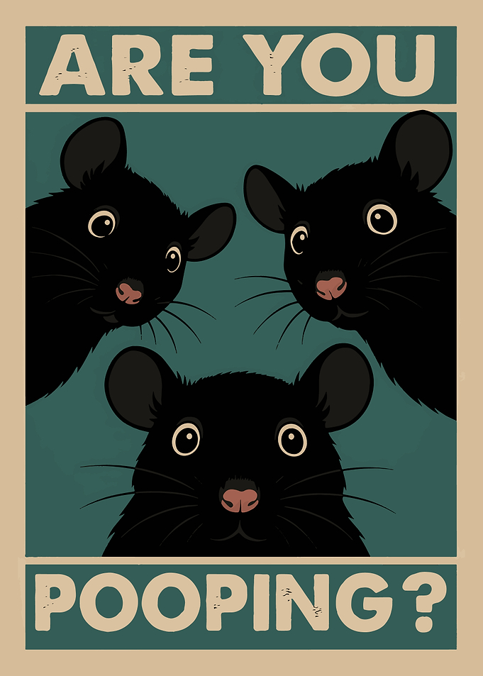 Are You Pooping? Rats Poster