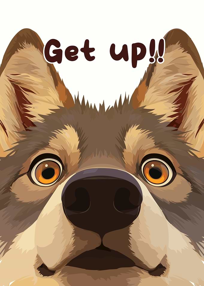 Get up! Wolf illustration