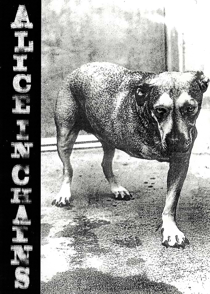 Alice in Chains Album Cover