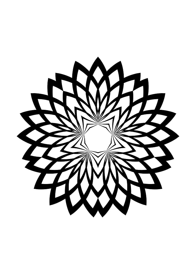 Black and White Geometric Floral
