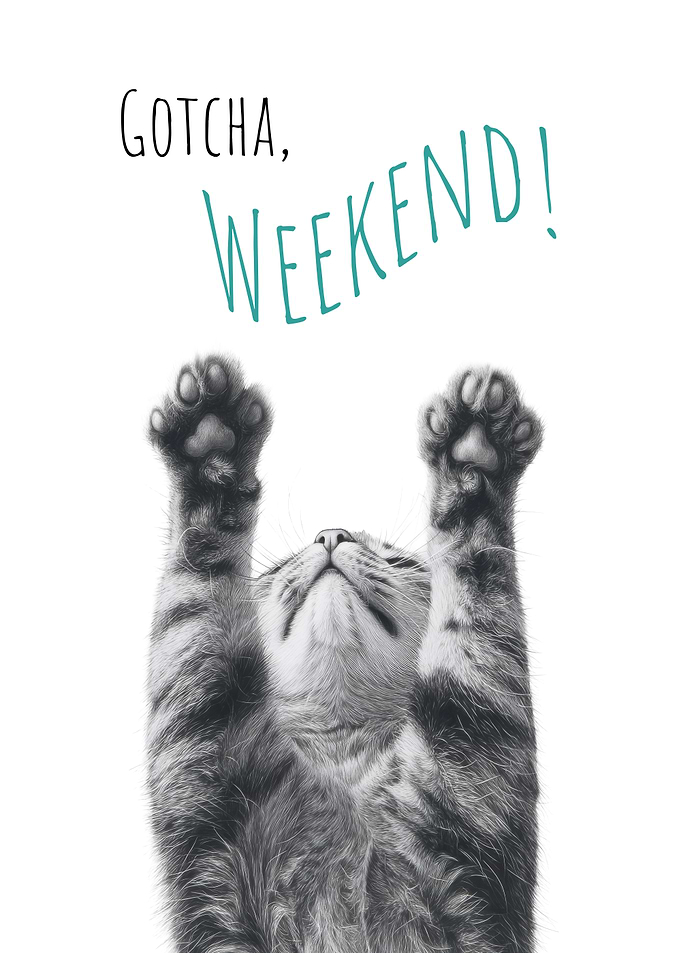 Cool Cat - Weekend