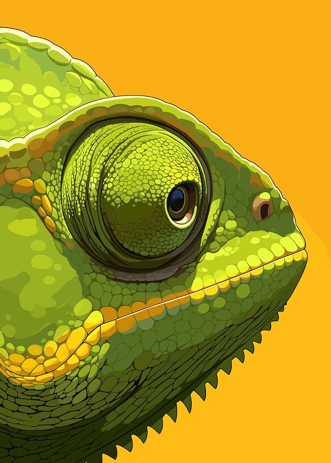 Green Chameleon Close-Up on Orange Background