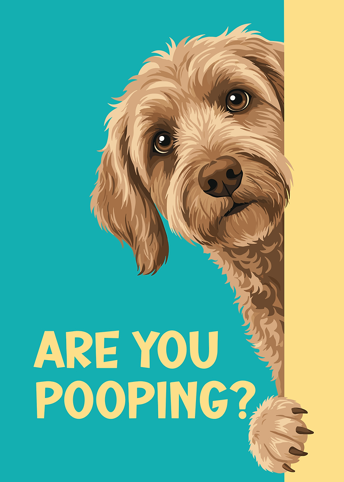 Labradoodle Are you pooping?
