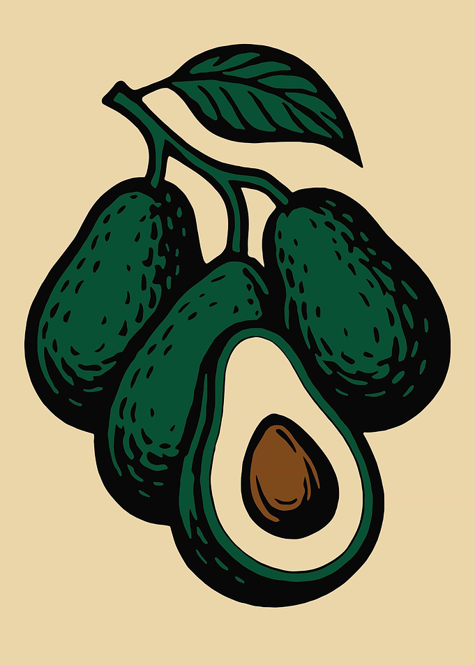 Avocado Branch Illustration
