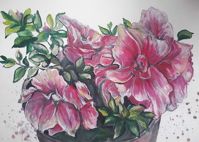 Pink Azalea