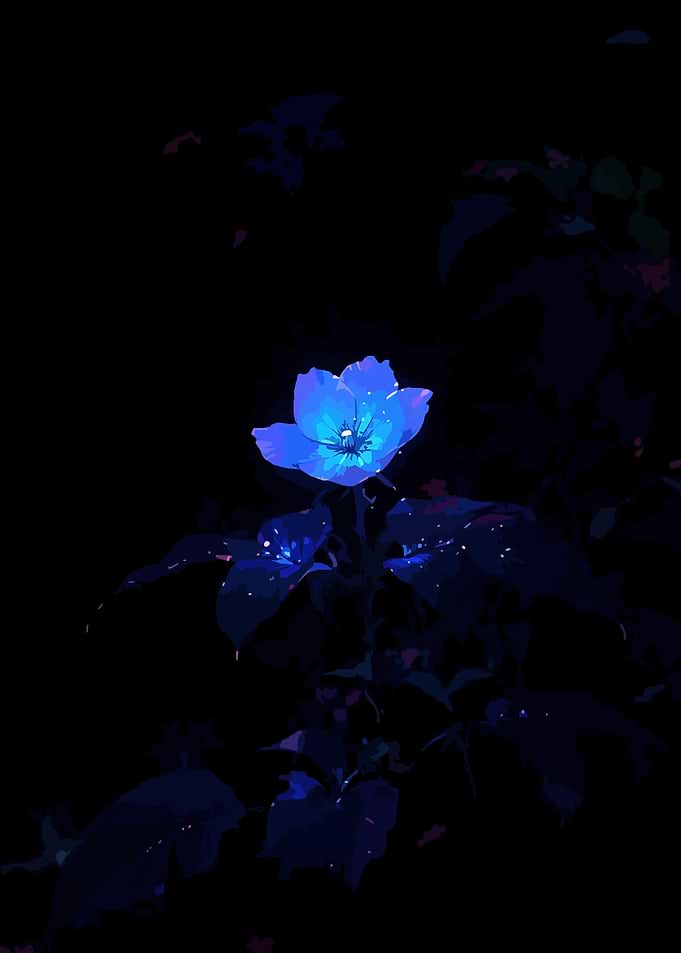 Glowing Blue Flower in Darkness