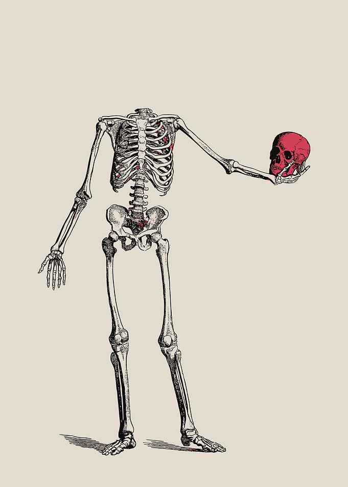 Skeleton Holding Skull Illustration