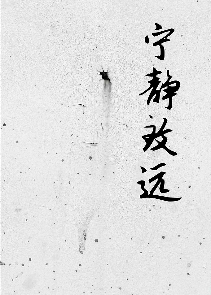 Tranquility Yields Transcendence Chinese Calligraphy on white surface