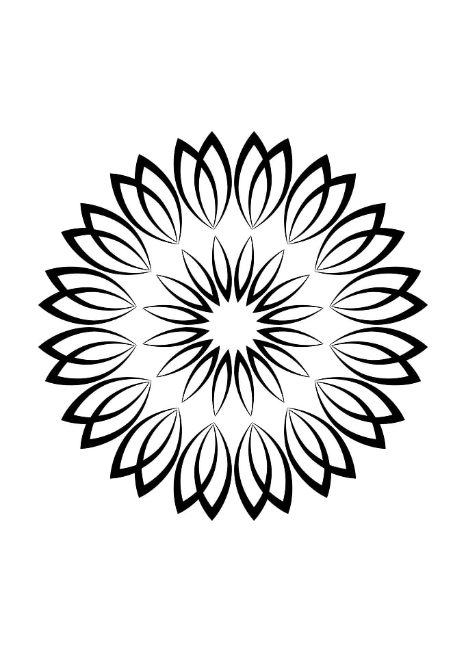 Black and White Floral