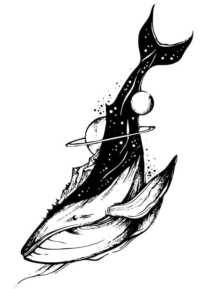 Whale with Space and Mountain Fill