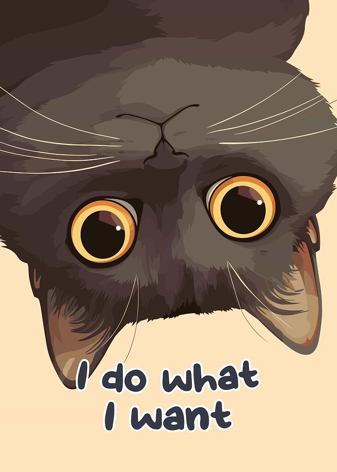 Upside-Down Cat with Attitude