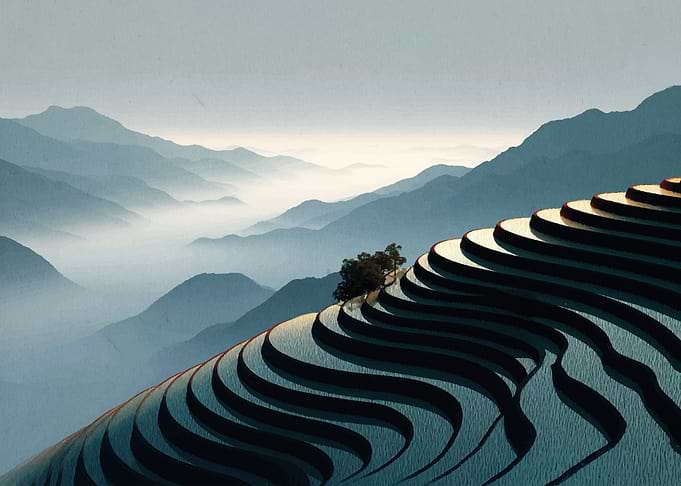Misty Mountain Terraces