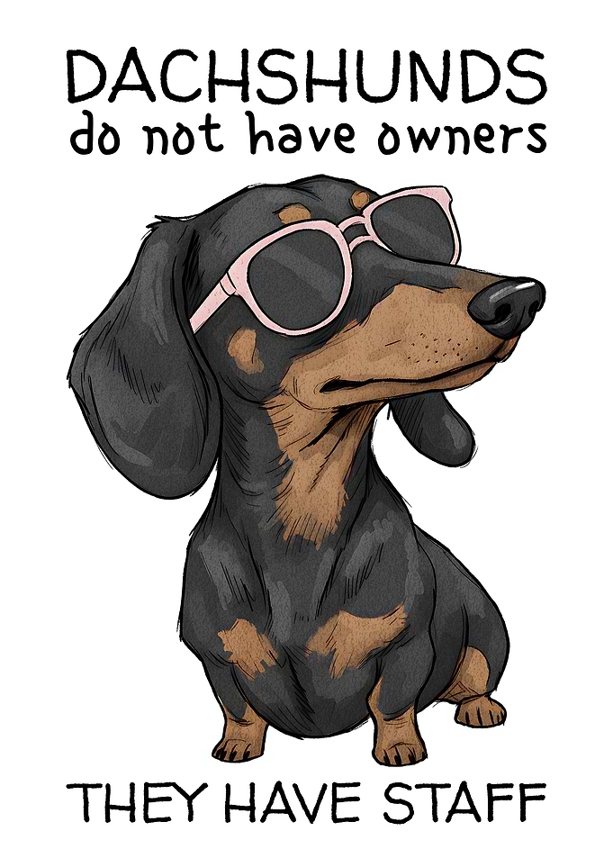 Dachshund Funny Meme Poster