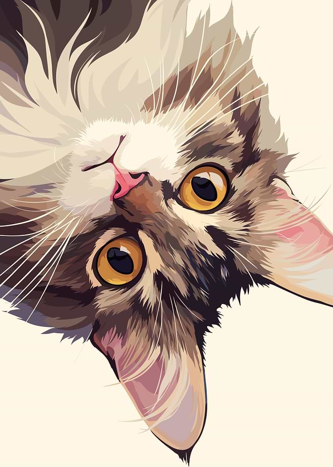 Upside-Down Cat Portrait