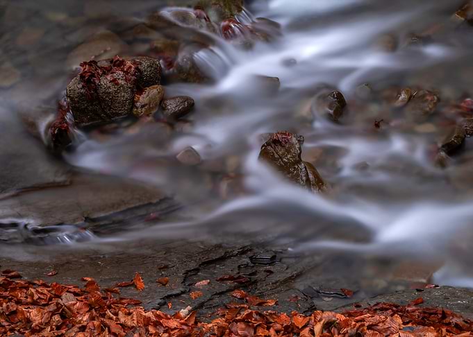 Autumn Stream Long Exposure
