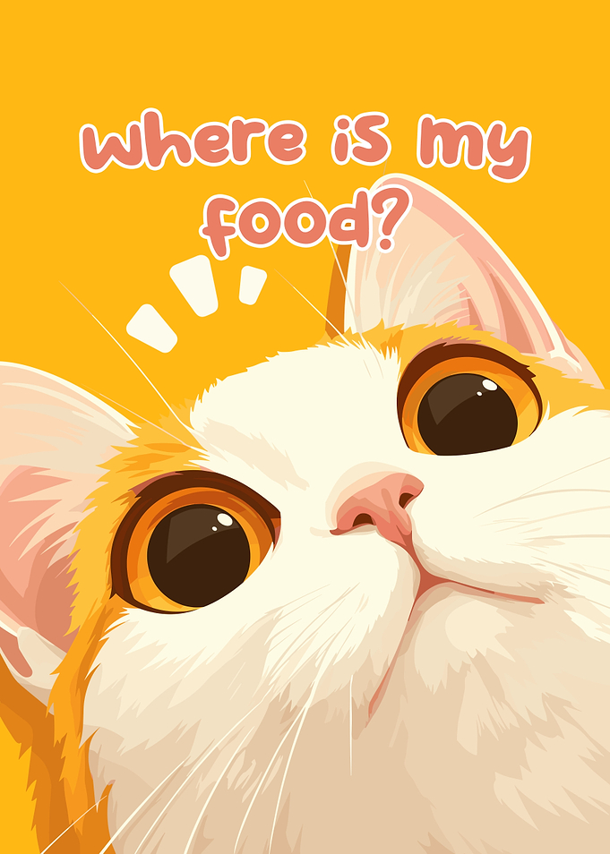 Where is my food? Cat