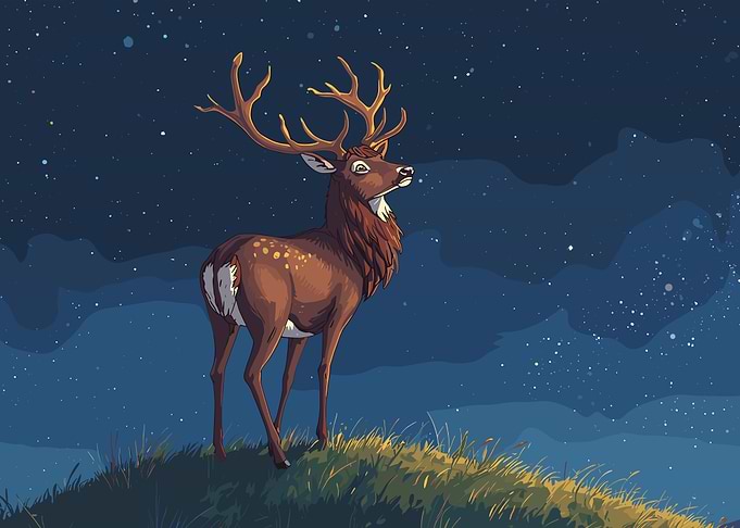 Stag under starry night sky