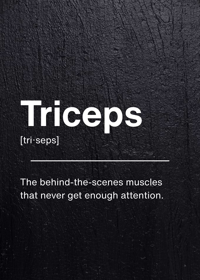 Triceps Definition