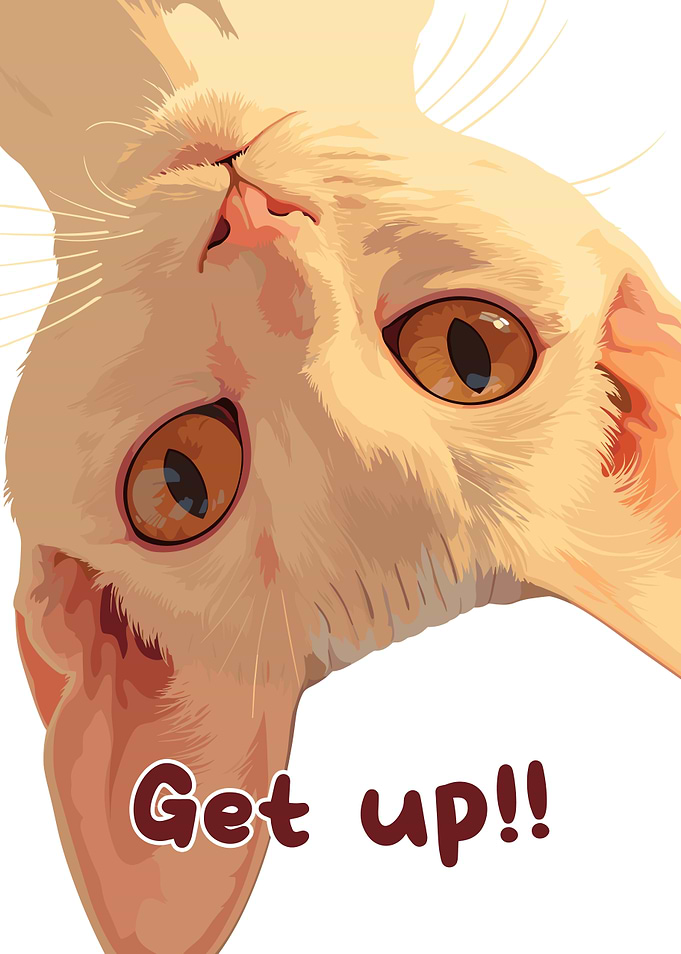 Get up Cat!