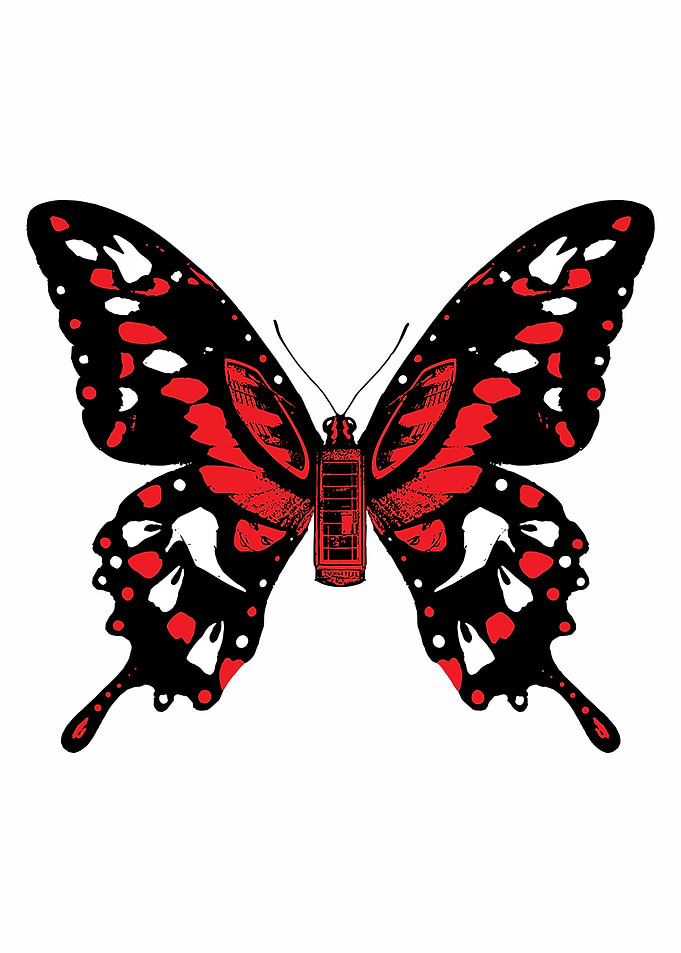 Butterfly with Phone Booth Body