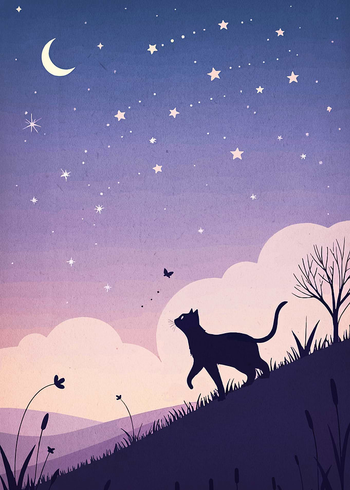Night Cat Silhouette